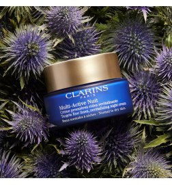 Multi Active Night - Normal to Dry Skin Cream Multi Active Night - Normal to Dry Skin Cream